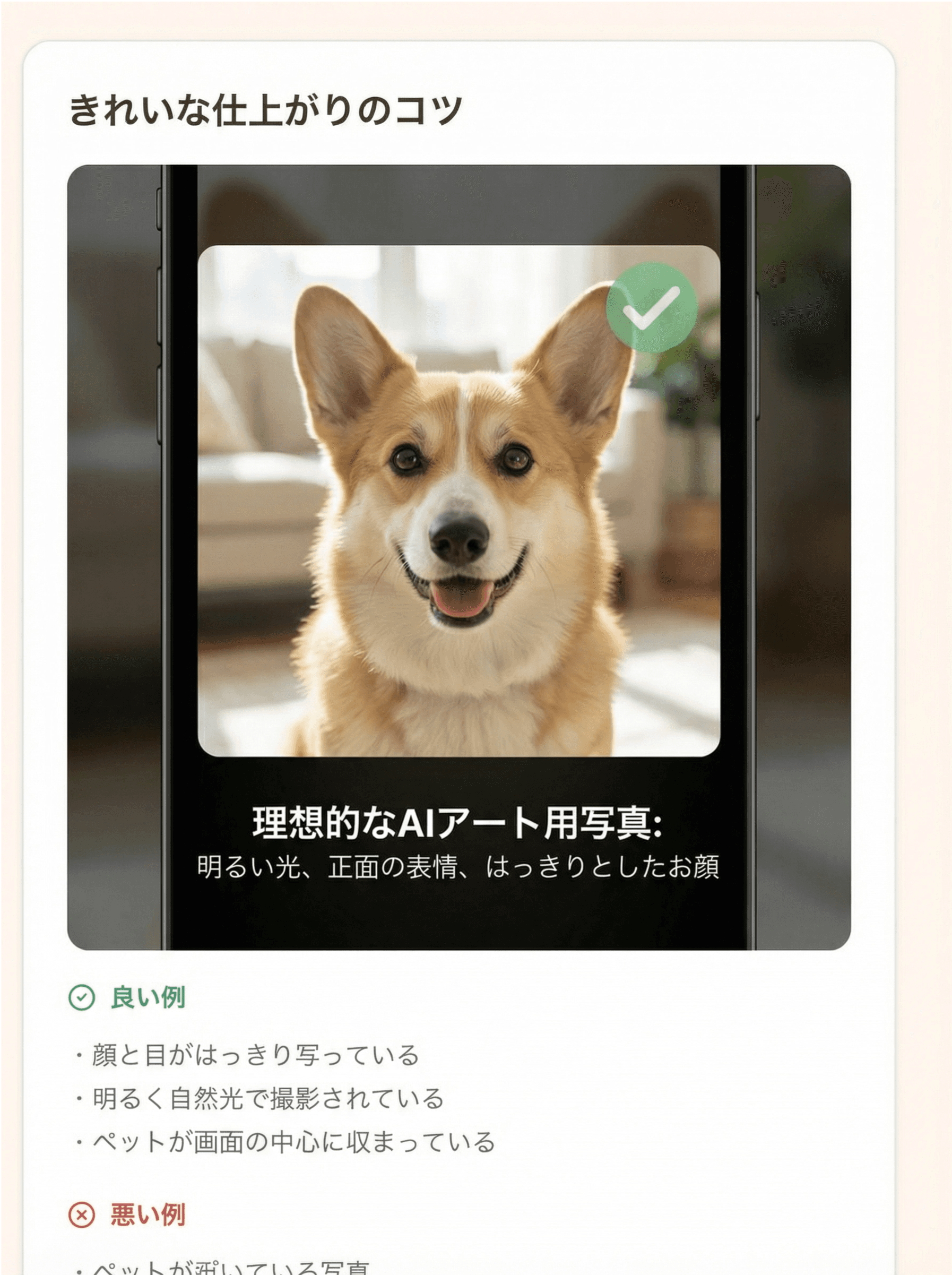 アップロード写真のガイド例